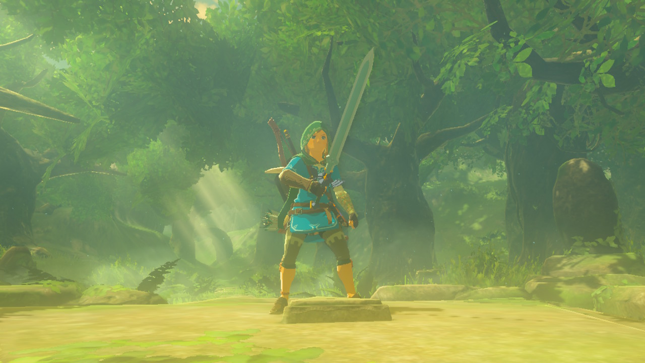Master Sword Grabbed.jpg